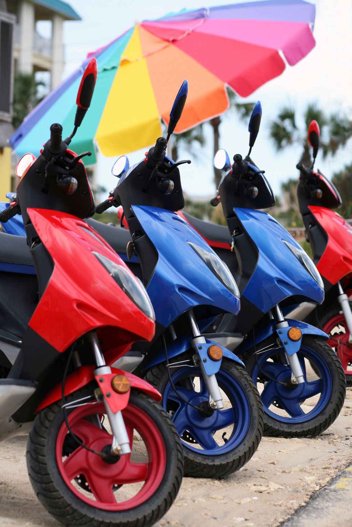 Motorbike and Motorcycle Rental
