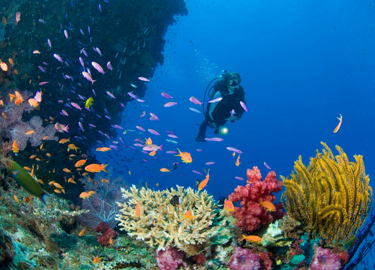 Scuba Diving & Snorkeling